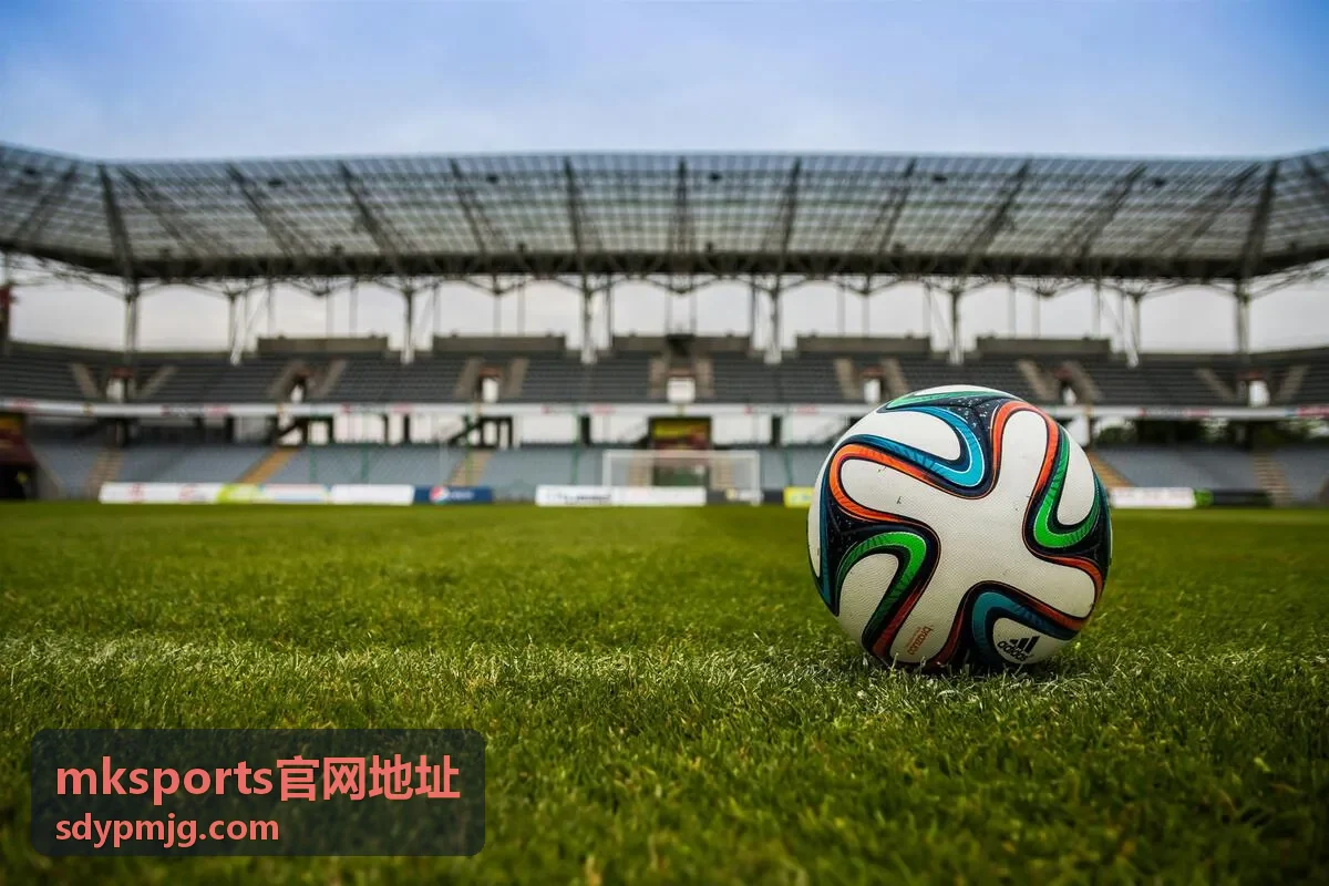 常见问题_mksports官网地址主题模块预览图