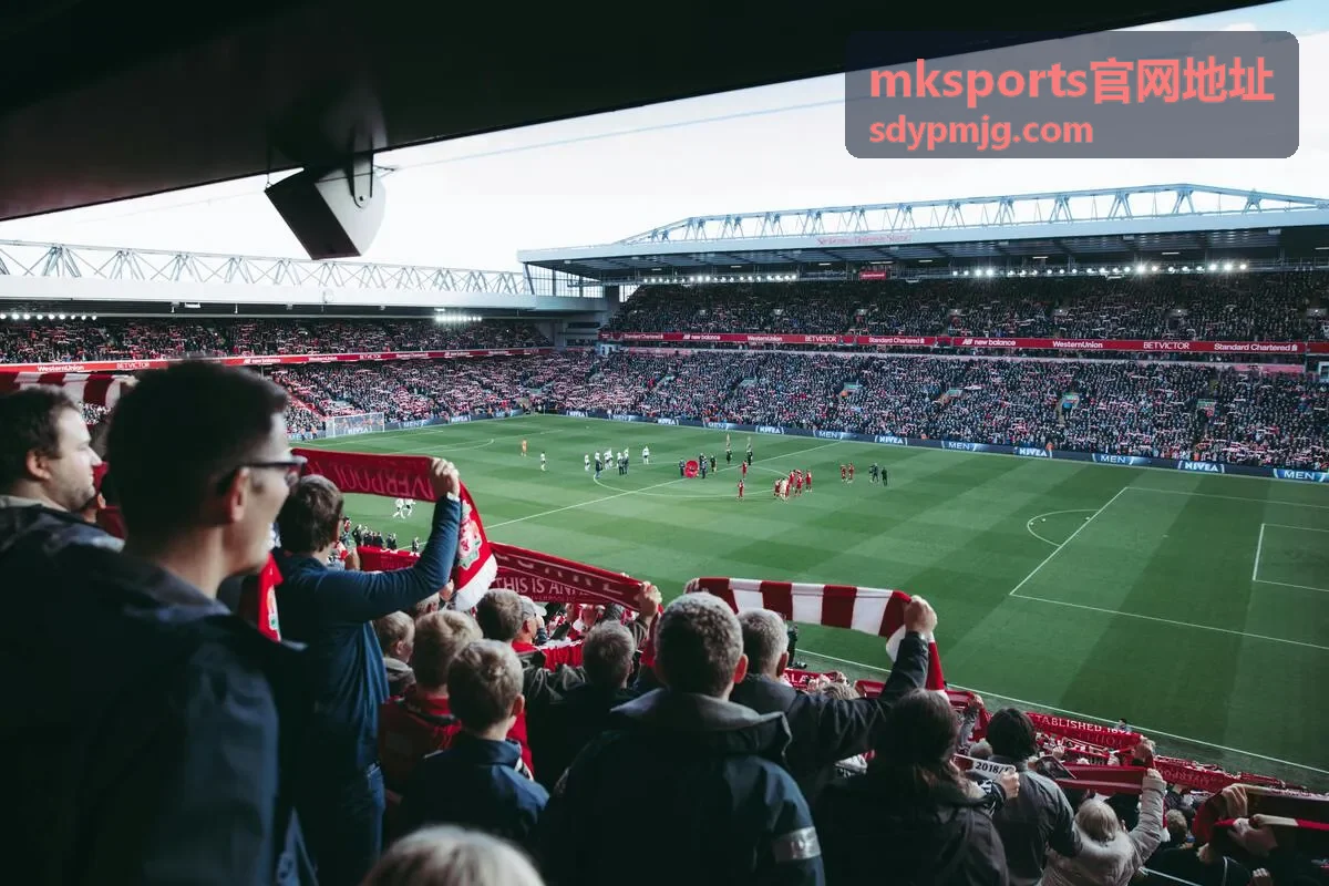 平台公告与mksports官网地址消息设置说明